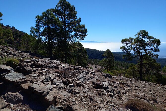Hiking in Tenerife's Great Outdoors - The Sum Up