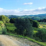 Hiking Tuscany & Chianti Wine - 3 Organic Wineries with lunch - Final Thoughts