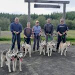 Hiking with Husky in Akureyri - Who Will Love This Tour?