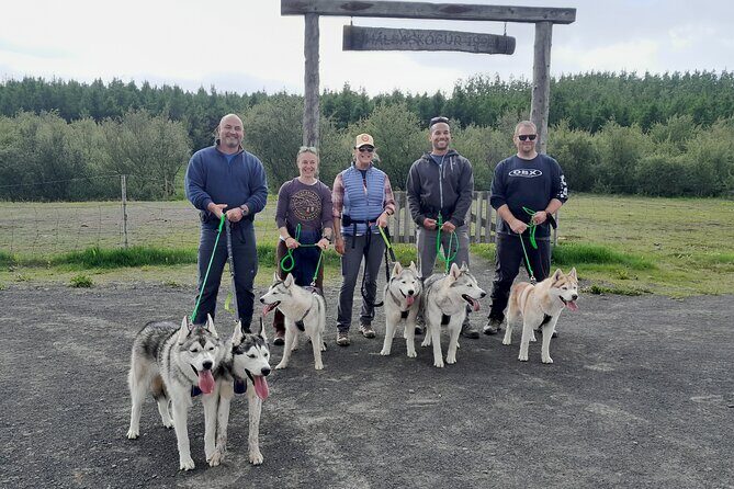 Hiking with Husky in Akureyri - Who Will Love This Tour?