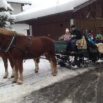 Horse Carriage Tour of Garmisch-Partenkirchen - Analyzing the Value