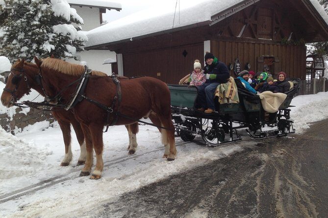 Horse Carriage Tour of Garmisch-Partenkirchen - Analyzing the Value