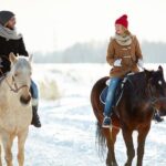 Horse Riding in Bled - Final Thoughts