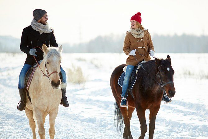 Horse Riding in Bled - Final Thoughts