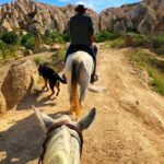 Horse Riding in the Valleys of Cappadocia - Who Will Love This Tour?