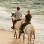 Horse Riding on the Beach - Why This Tour Offers Real Value