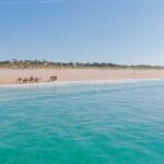 Horse Riding on the Beach with private transfer from Lisbon - Authentic Insights from Reviews