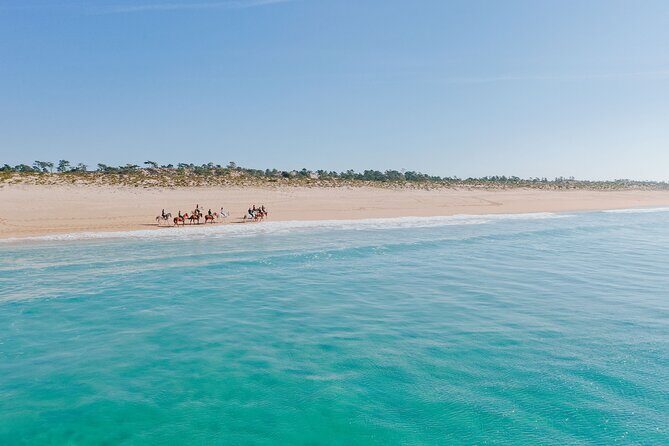 Horse Riding on the Beach with private transfer from Lisbon - Authentic Insights from Reviews