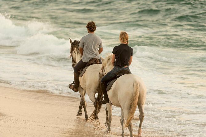 Horse Riding on the Beach - Why This Tour Offers Real Value