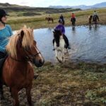 Horse Riding Tour to the Glacier River Delta with Waterfall - FAQ