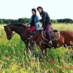 Horse Sanctuary & Trail Ride - An Overview of the Horse Sanctuary & Trail Ride Experience