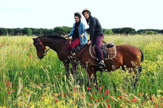 Horse Sanctuary & Trail Ride - An Overview of the Horse Sanctuary & Trail Ride Experience