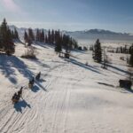 Horse Sleigh Ride in the Polish Countryside, private tour from Krakow - Why This Tour Stands Out