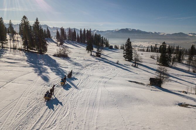 Horse Sleigh Ride in the Polish Countryside, private tour from Krakow - Why This Tour Stands Out
