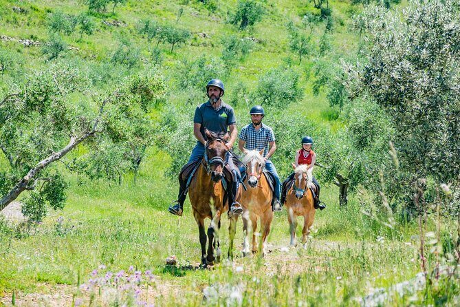 Horseback riding and aperitif 2 hours for beginners - The Sum Up: Is It Worth It?