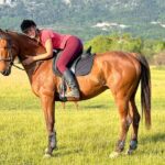 Horseback Riding Experience with transport from Dubrovnik - The Itinerary: What to Expect
