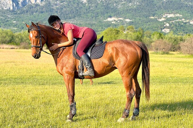 Horseback Riding Experience with transport from Dubrovnik - The Itinerary: What to Expect