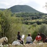 Horseback Riding in Randa Valleys, Mallorca, Spain - Starting Off: A Gentle Introduction to Andalusian Horses