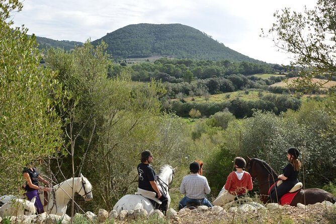 Horseback Riding in Randa Valleys, Mallorca, Spain - Starting Off: A Gentle Introduction to Andalusian Horses