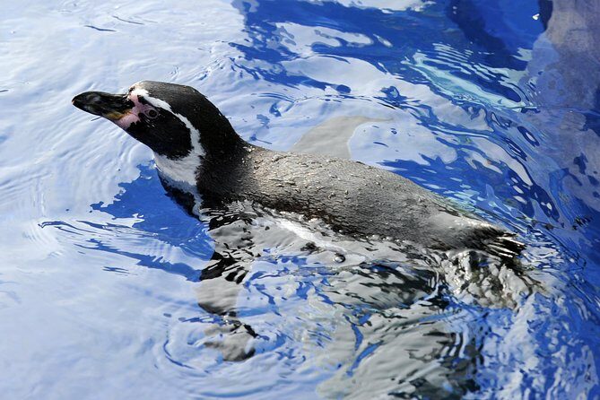 Hunstanton SEA LIFE Sanctuary General Admission Ticket - What Reviewers Say