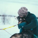 Husky Sledding Self-Drive Adventure in Tromso - Value for Money: Does It Justify the Cost?