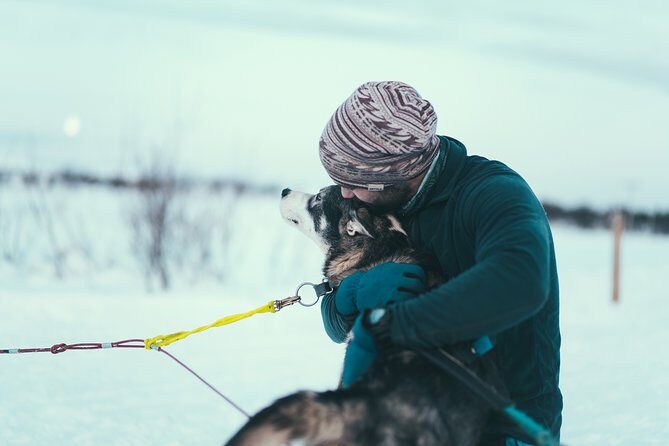 Husky Sledding Self-Drive Adventure in Tromso - Value for Money: Does It Justify the Cost?
