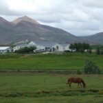 Icelandic Horseback Riding Tour Including Pick Up from Reykjavik - Additional Details