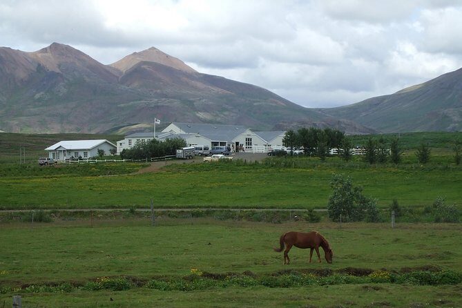 Icelandic Horseback Riding Tour Including Pick Up from Reykjavik - Additional Details