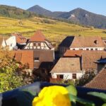 ICONICS Tour: 1/2 day on the Wine Route, visit of 2 Villages + Tasting. - Frequently Asked Questions
