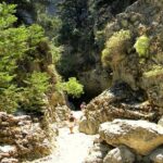 Imbros Gorge Guided Hike & Swim  Day Trip from Chania - A Deep Dive Into the Tour Experience