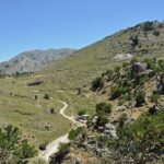 Imbros Gorge Hiking Day Trip with transportation - Pros and Cons Summary