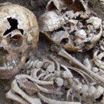 Irish Famine Museum / Exhibition Dublin - Practicalities: What Travelers Need to Know