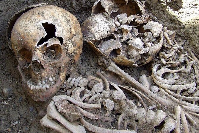 Irish Famine Museum / Exhibition Dublin - Practicalities: What Travelers Need to Know