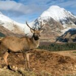Isle of Skye Day Tour - Who Would Love This Tour?