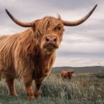 Isle of Skye Day Tour from Fort William - Who Should Consider This Tour?