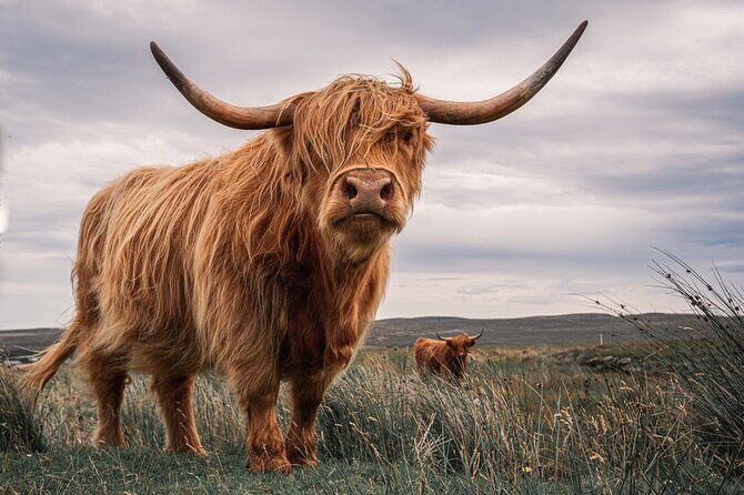 Isle of Skye Day Tour from Fort William - Who Should Consider This Tour?