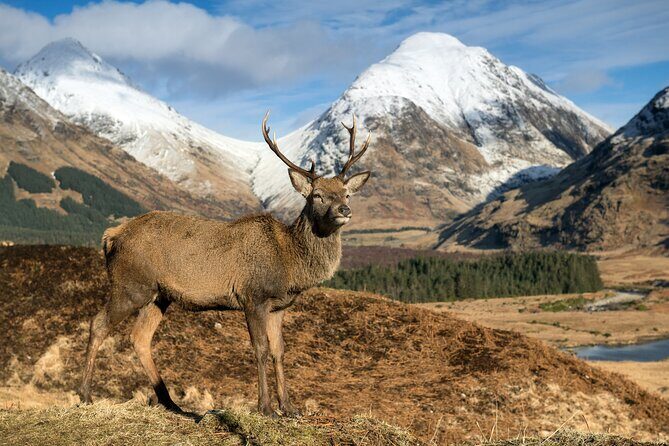 Isle of Skye Day Tour - Who Would Love This Tour?