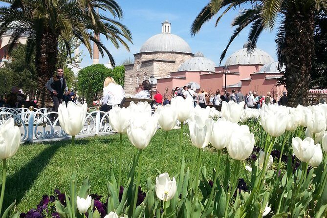 Istanbul Delights: A Journey Through Flavor and History - Who Will Love This Tour?