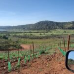 Jeep half day tour of our Algarve coast and mountains - Transport, Group Size, and Value