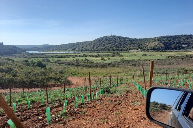 Jeep half day tour of our Algarve coast and mountains - Transport, Group Size, and Value
