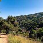 Jeep Safari #1 in Algarve - What Could Be Improved