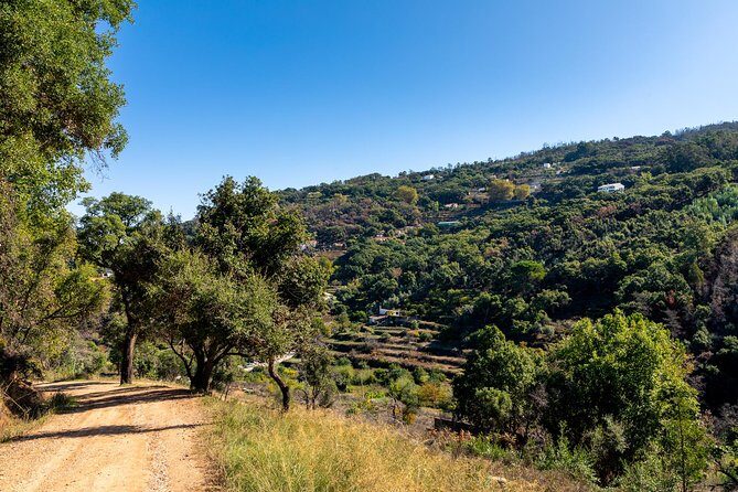 Jeep Safari #1 in Algarve - What Could Be Improved