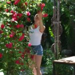 Kakheti: Bodbe, Sighnaghi, Telavi Wine Tour from Tbilisi - Practical Details & Considerations