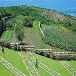 Kakheti: Sighnaghi city of love, Bodbe, Corporation Kindzmarauli - Overall Value and Practical Tips