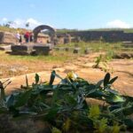 Katakolon Shore Excursion: Olympic site, Honey/Olive Oil Tasting - The Experience from Reviews