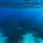 Kayak and Snorkeling Tour in the Bergeggi Island MPA - What’s Included and How the Itinerary Works