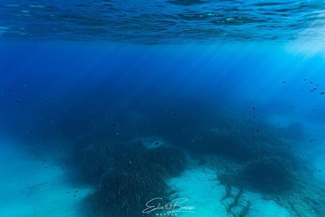 Kayak and Snorkeling Tour in the Bergeggi Island MPA - What’s Included and How the Itinerary Works