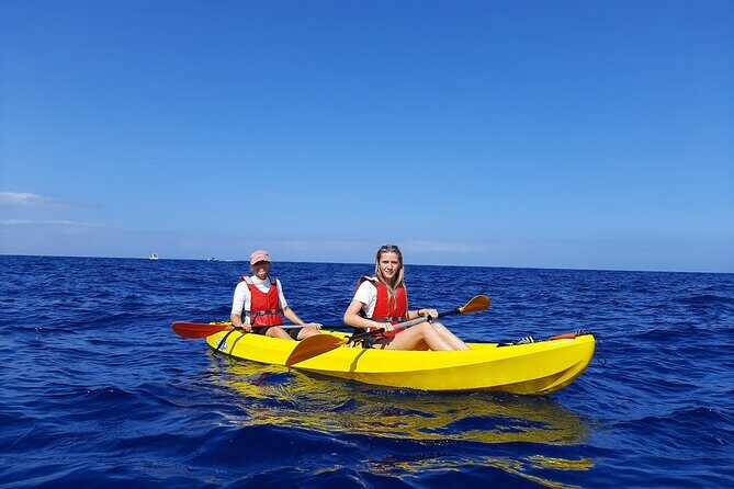 Kayak Safari with Dolphin and Turtle Watching in Guaza - The Journey Begins: From Los Cristianos Beach to Guaza Cliffs