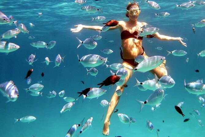 Kayak Tour with Snorkeling and Local Aperitif - Who Would Love This Tour?