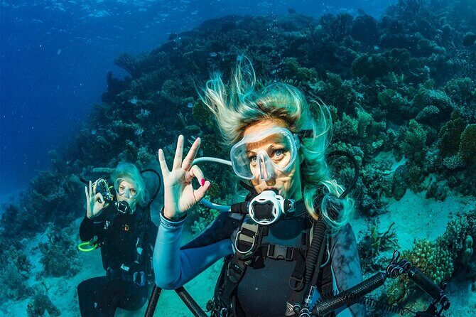 Kemer Scuba Diving Experience: Two Dives with Lunch - Practical Details & Tips